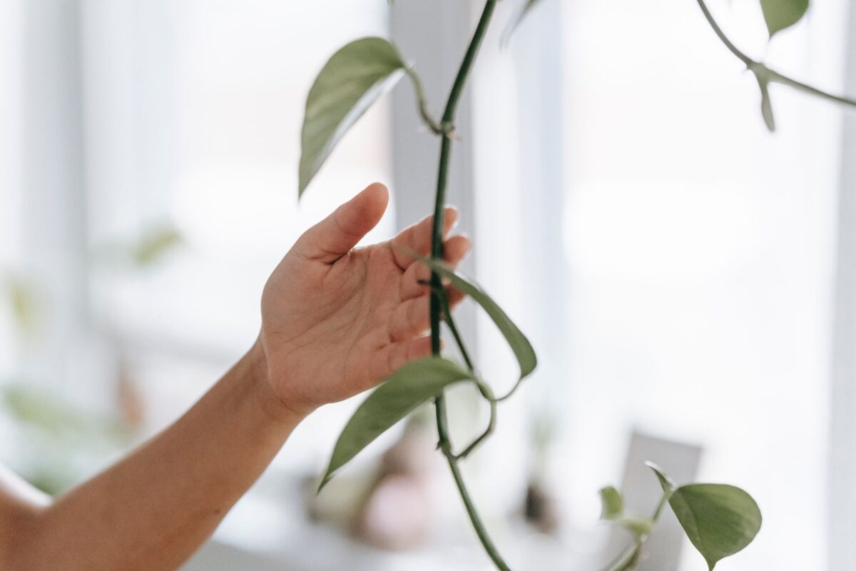 douleur sous plante soulager