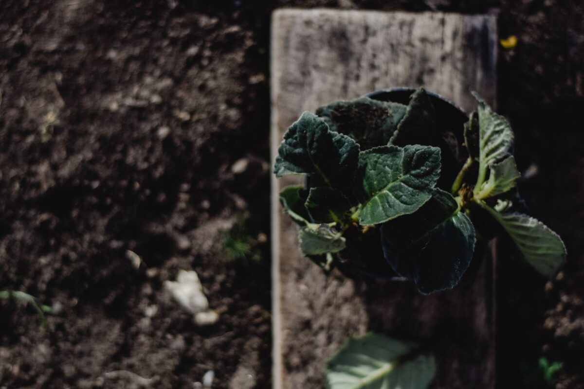 Douleur sous la plante du pied : causes fréquentes et solutions concrètes pour soulager